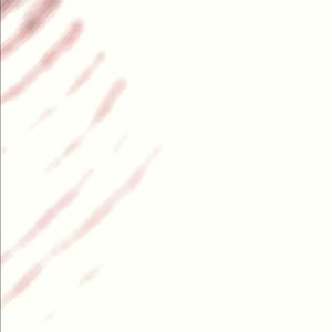 Meet your Posher, Samuel